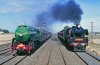 93-4-11 8 Donnybrook Loop copy.jpg