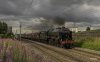 Pendle Scot 4b.jpg