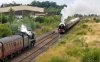 _DSC2116-Edit.jpg