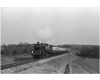 70368D17-C7E0-409A-B5FF-BA00037AB187.png