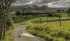 Pendle SL 1b.jpg
