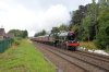 45699-01i.jpg