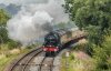 KilpeckSta-2021-08-11-8-46100RoyalScot.jpg