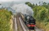 KilpeckSta-2021-08-11-10-46100RoyalScot.jpg