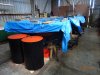 DSC00884.JPG