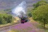 Scots-Guardsman-(16)-fbook.jpg