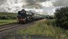 Waverley FS 1b.jpg
