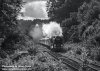 35028 cotswold venturer.004.jpeg