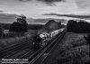 35028 john farrow.004.jpeg