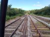 IMG_20210826_113817.jpg