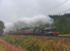 DSC_9730.jpg