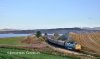 DSC_4270 watermarked600.jpg