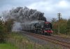 DSC_9803 L.jpg