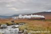 DSC_6060_watermarked800.jpg