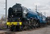 tornado-largelogo-nat.jpg