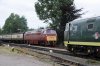 #009. D1010 & D7017 at Williton, WSR. 310813..JPG