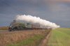 DSC_0439 a.jpg