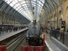 Tynesider Kings x.jpg