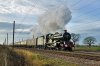 DSC_1148.JPG