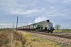 DSC_1166.JPG