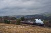 DSC_7528_watermarked_small.jpg