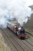 45699-04f.jpg