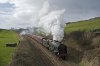 Scots Guardsman LTR 1d.jpg