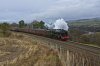Scots Guardsman WCME 2a.jpg