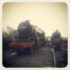 45379 and 76084.jpg