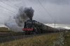 Scots Guardsman WCME 1da.jpg