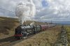 Scots Guardsman 1ea.jpg