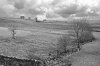DSC_1700 bnw.JPG