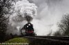 _DSR7749_DxO_01.JPG