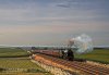 DSC_8245_1_watermarkedsmall.jpg