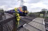 footcrossing.png