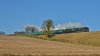 DSC_0181.JPG
