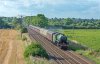 61306 4 lr.jpg
