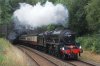 DSC07111.jpg