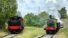S7210007 (1).jpeg