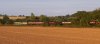 21D_1091 Wharton (Leominster) 040921.jpg