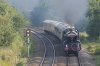 DSC00546.jpg
