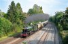 7029 Dorridge lr.jpg