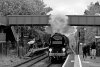 0280 b&w.jpg