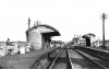 rookery(suk1949).jpg
