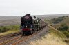 35018-(16)-Lunds-fbook.jpg