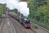 2021-09-28 45596 61306 Putney_0516.jpg