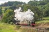 46100 Milford-LR..jpg