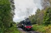 _DSC4795.jpg