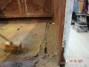 DSC00994.JPG