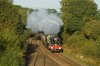 DSC00805.jpg